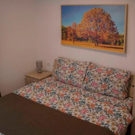 Bed & Breakfast Rajacki Konaci Polom